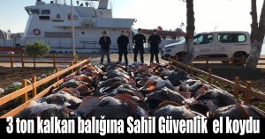 3 ton kalkan balığına Sahil Güvenlik  el koydu