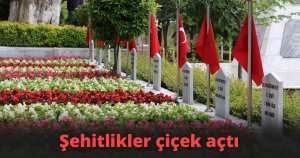 Şehitlikler çiçek açtı
