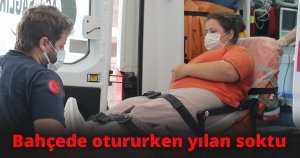 Yılanın soktuğu genç kız hastanelik oldu