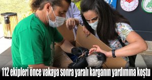 112 ekipleri önce vakaya sonra yaralı karganın yardımına koştu