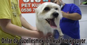 Onlar da güzelleşmek için kuaföre koşuyor