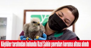 Köylüler tarafından bulundu