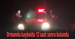  Ormanda mantar ararken kayboldu