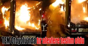TEM Otoyolu'nda tır alevlere teslim oldu