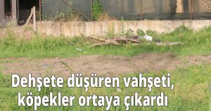  Dehşete düşüren vahşeti, köpekler ortaya çıkardı