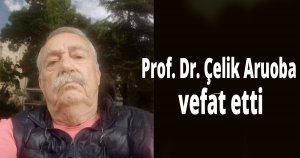 Prof. Dr. Çelik Aruoba vefat etti