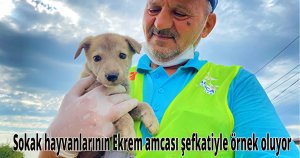 Sokak hayvanlarının Ekrem amcası şefkatiyle örnek oluyor