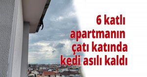  6 katlı apartmanın çatı katında kedi  asılı kaldı