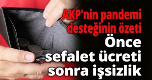 AKP'nin pandemi desteğinin özeti