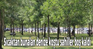 Hissedilen sıcaklığın 40 dereceyi aştığı Kocaeli'de sahiller boş kaldı