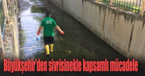 Büyükşehir’den sivrisinekle kapsamlı mücadele