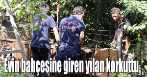Evin bahçesine giren yılan korkuttu