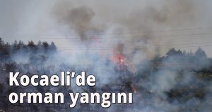 Kocaeli’de orman yangını