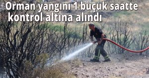 Kocaeli’deki orman yangını 1 buçuk saatte kontrol altına alındı