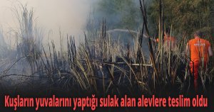 Sazlık alandaki yangın ekipleri harekete geçirdi