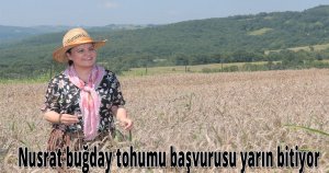 Nusrat buğday tohumu başvurusu yarın bitiyor