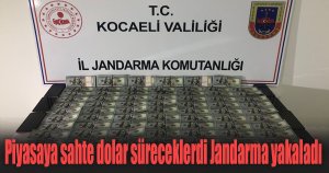 Piyasaya sahte dolar süreceklerdi