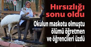 Hırsızlığı sonu oldu
