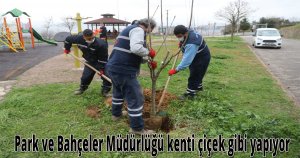 Park ve Bahçeler Müdürlüğü kenti çiçek gibi yapıyor
