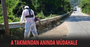 Büyükşehir kırsal mahalleleri güzelleştiriyor