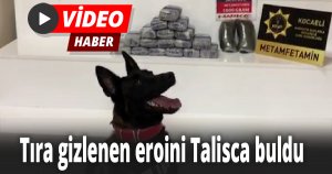 Tıra gizlenen eroini Talisca buldu