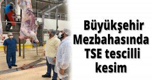    Büyükşehir Mezbahasında TSE tescilli kesim