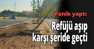 Panik yaptı