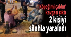 'Köpeğimi çaldın' kavgası çıktı