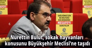 Nurettin Bulut, sokak hayvanları konusunu Büyükşehir Meclisi’ne taşıdı