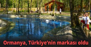 Ormanya, Türkiye’nin markası oldu