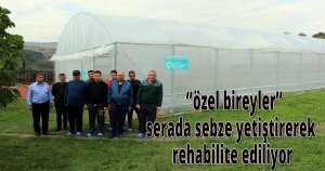 Kocaeli’de ‘özel bireyler’ serada sebze yetiştirerek rehabilite ediliyor