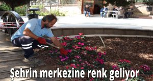 İzmit Belediyesi, Fevziye Park’ını peyzaj çalışmalarıyla renklendiriyor