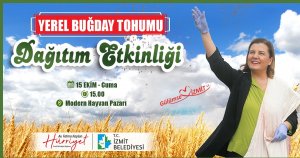 İzmit Belediyesi çiftçiye, yerel buğday dağıtımına başlıyor