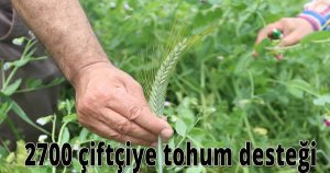 2700 çiftçiye tohum desteği