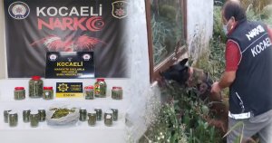 Kavanozlara turşu değil uyuşturucu doldurdular