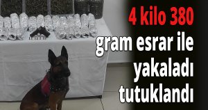  Evinde 4 kilo 380 gram esrar ile yakalanınca tutuklandı