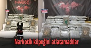 Narkotik köpeğini atlatamadılar