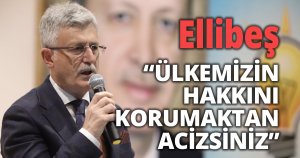 Ellibeş 'Bu muhalefetin Türkiye’yi savunacak gücü de, şuuru da yok'