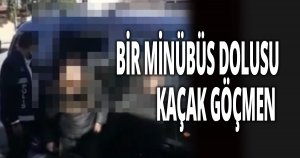 BİR MİNÜBÜS DOLUSU KAÇAK GÖÇMEN 