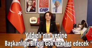 Yıldızlı'nın yerine Başkanlığa Birgül Gök vekalet edecek