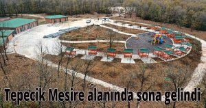  Tepecik Mesire alanında sona gelindi 