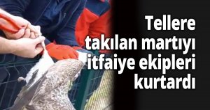 Tellere takılan martıyı itfaiye ekipleri kurtardı