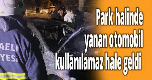 Park halinde yanan otomobil kullanılamaz hale geldi