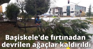 Başiskele'de fırtınadan devrilen ağaçlar kaldırıldı