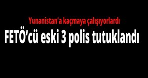 Yunanistan'a kaçmaya çalışıyorlardı