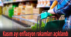 Kasım ayı enflasyon rakamları açıklandı