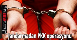 Jandarmadan PKK operasyonu