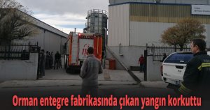 Orman entegre fabrikasında çıkan yangın korkuttu