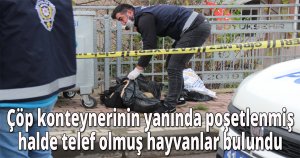  Çöp konteynerinin yanında poşetlenmiş halde telef olmuş hayvanlar bulundu