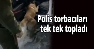 Uyuşturucu operasyonu 5 gözaltı